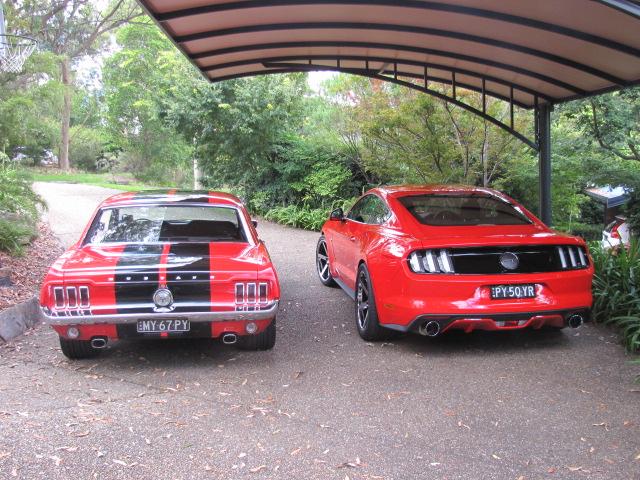 Mustangs Feb 2016 008.JPG