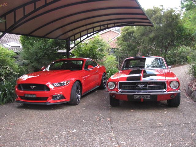 Mustangs Feb 2016 011.JPG