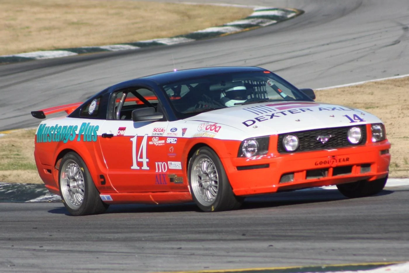 IMG_9060.webp