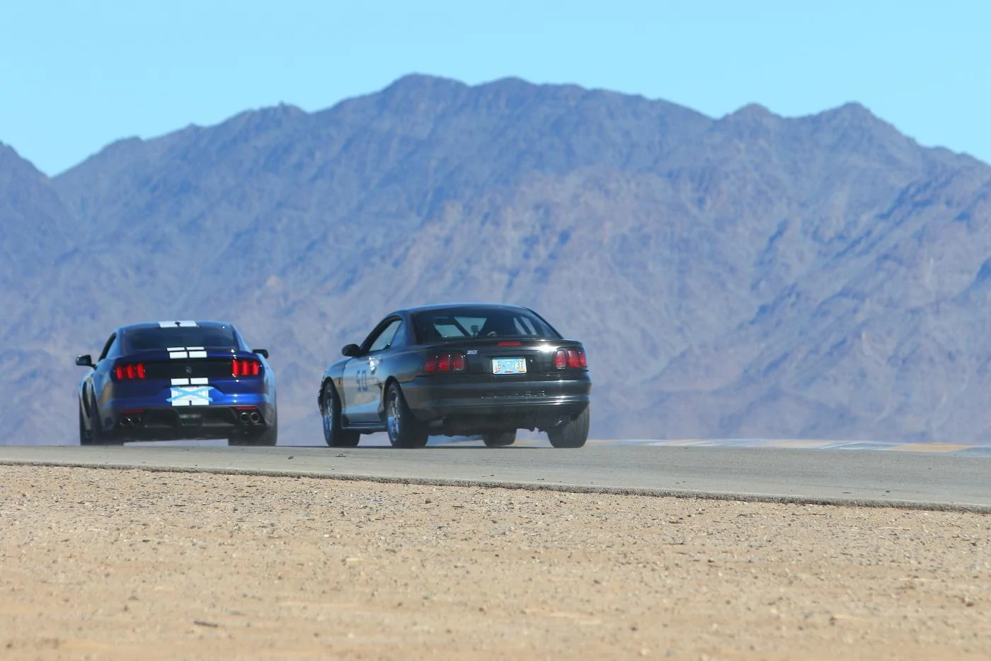 Turn 9 ODG_9799_Feb1416_by_KG-CaliPhoto copy.webp
