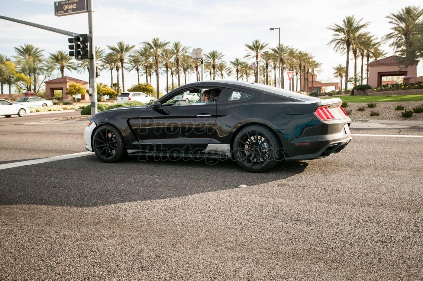 GT350 Mustang 2.jpg
