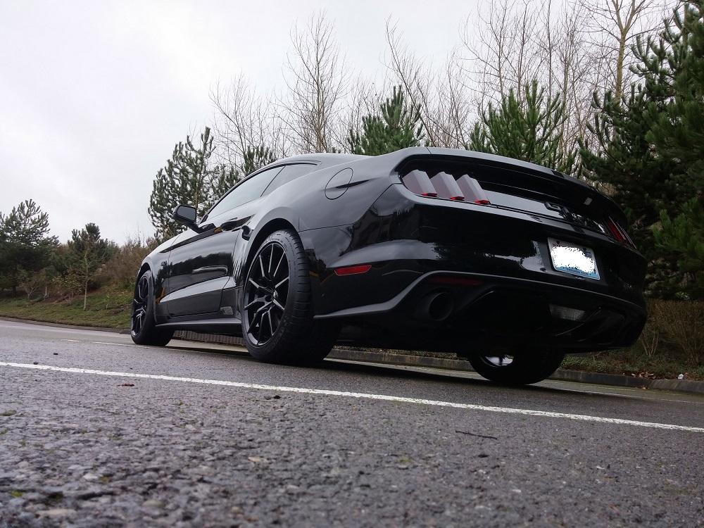 20160214_153129_HDR.jpg