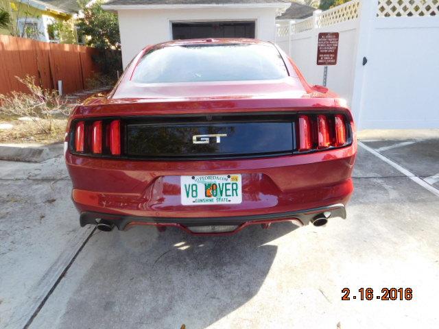 DSCN0979.JPG