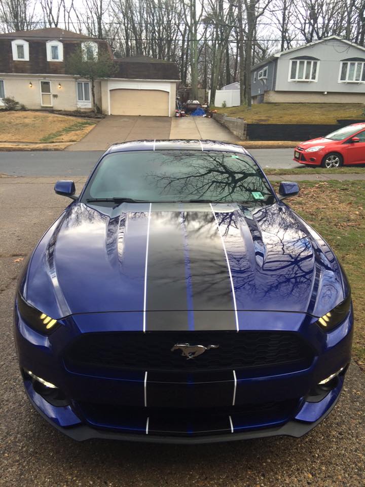 stripes 1.jpg