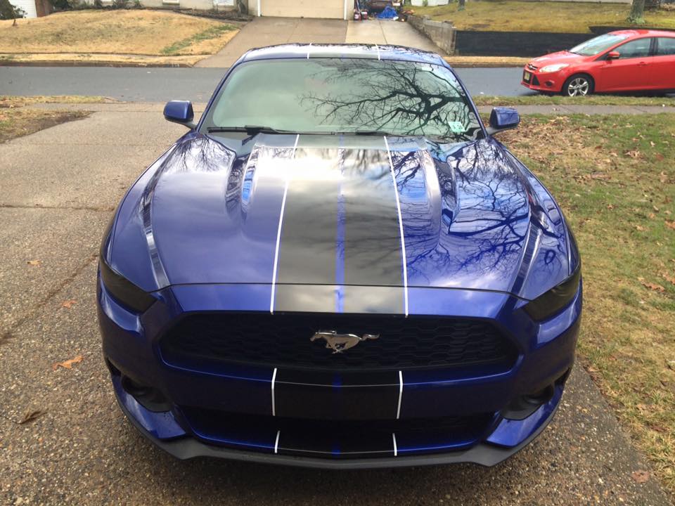 stripes 2.jpg