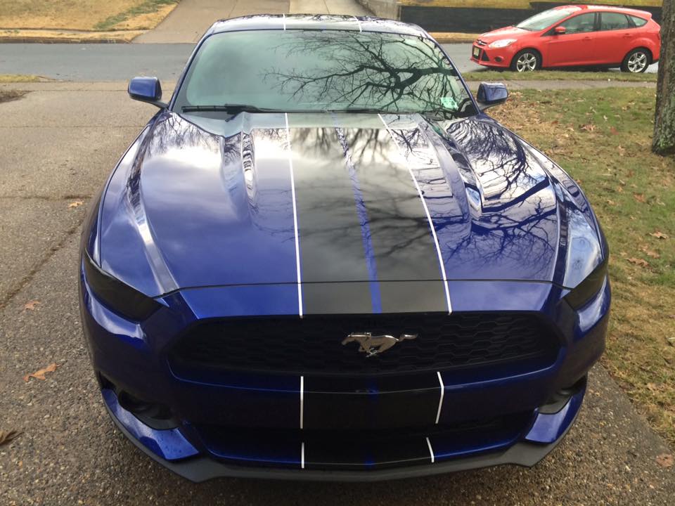 stripes 4.jpg