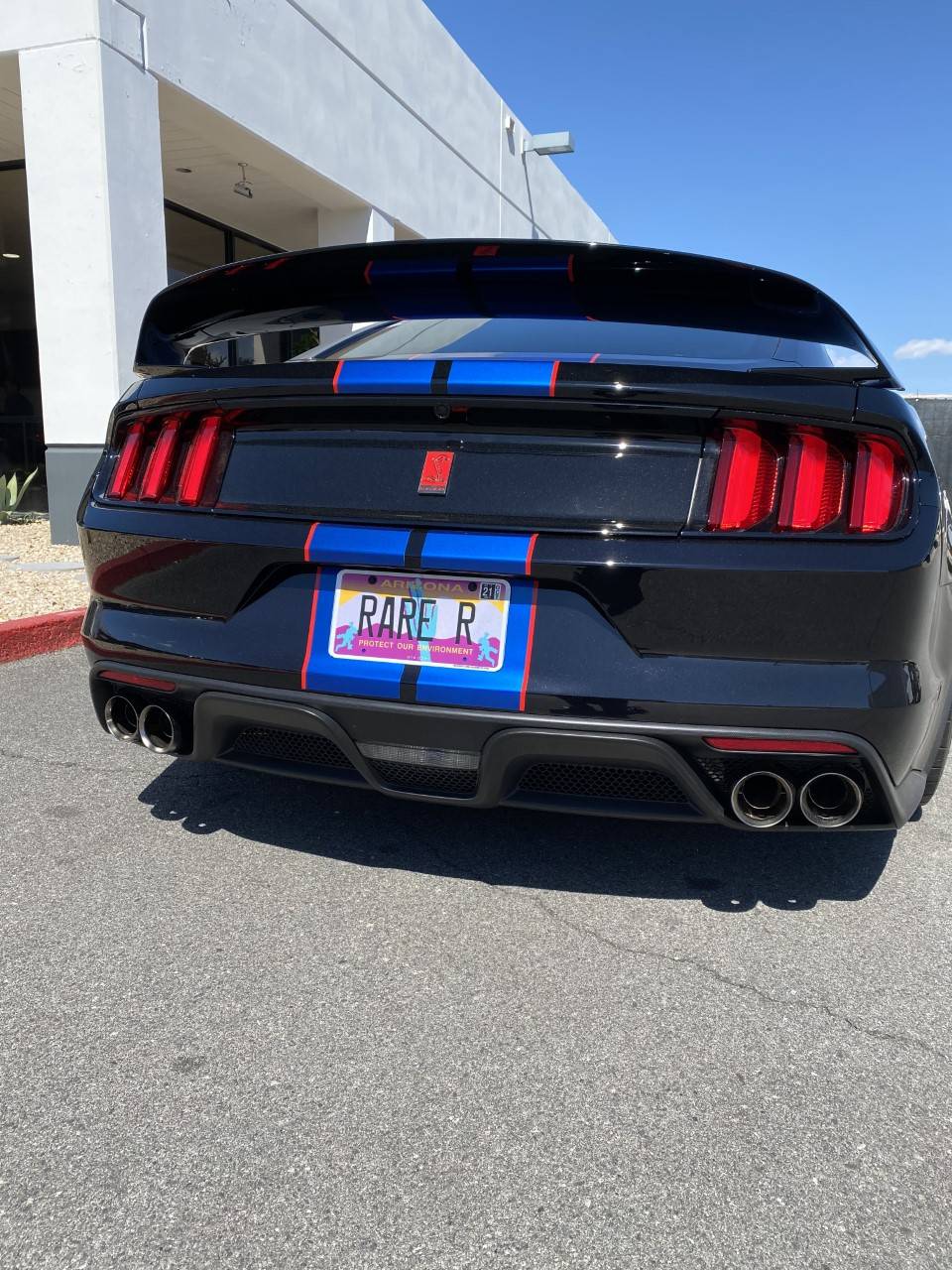 2018 R License Plate.jpg