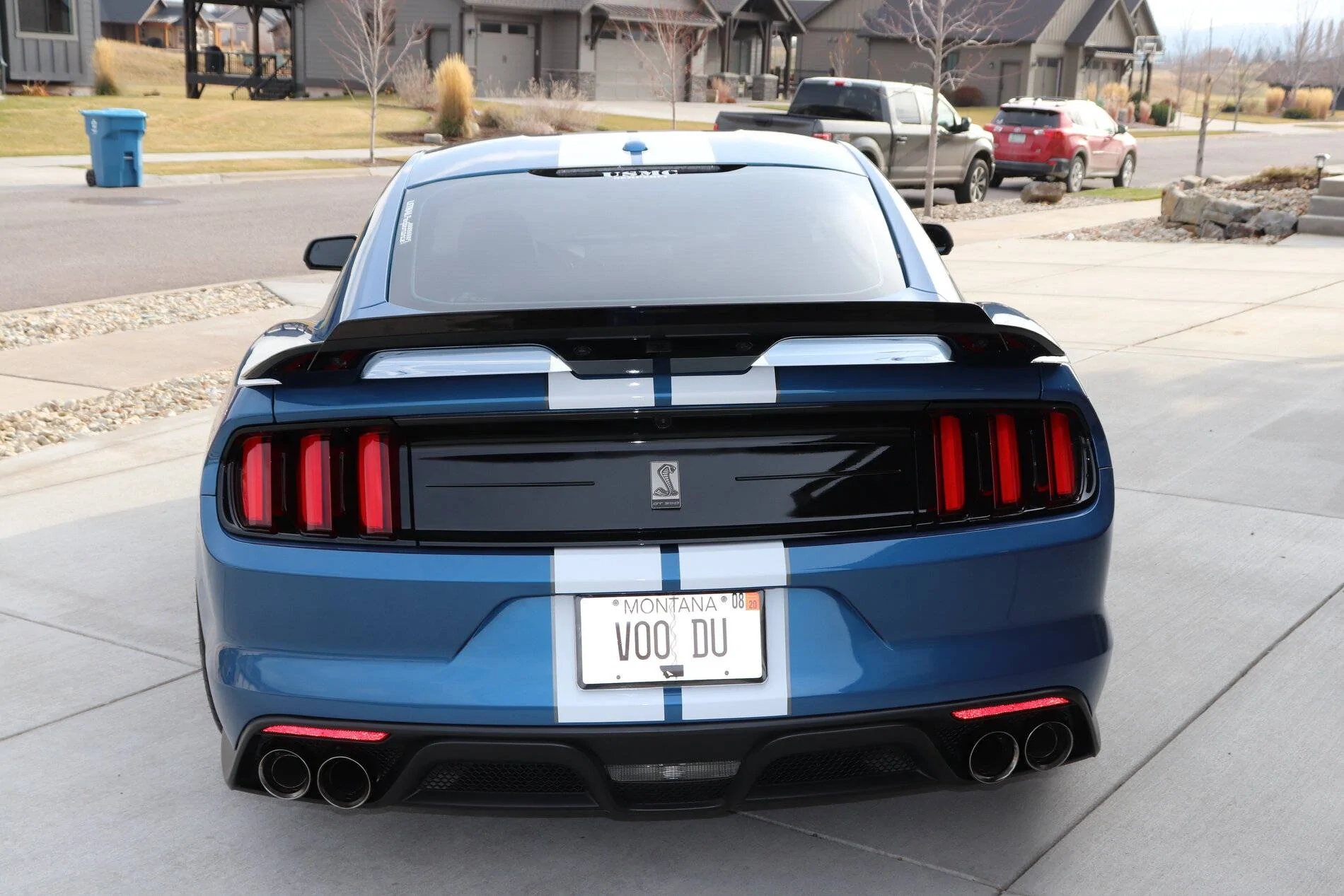 7C31A480-4A47-40D2-8406-3A8E94F37CA4.webp