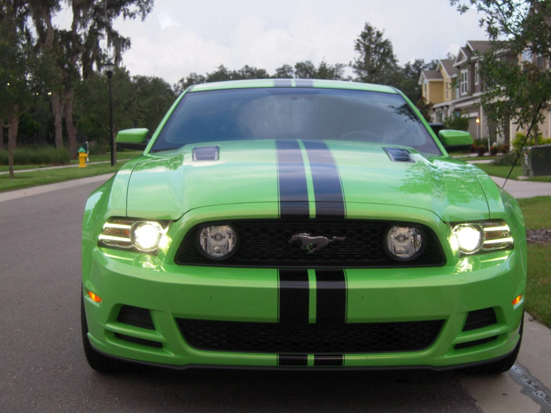 DSCN1836.webp