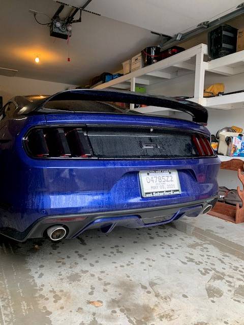 After tint 3.jpg