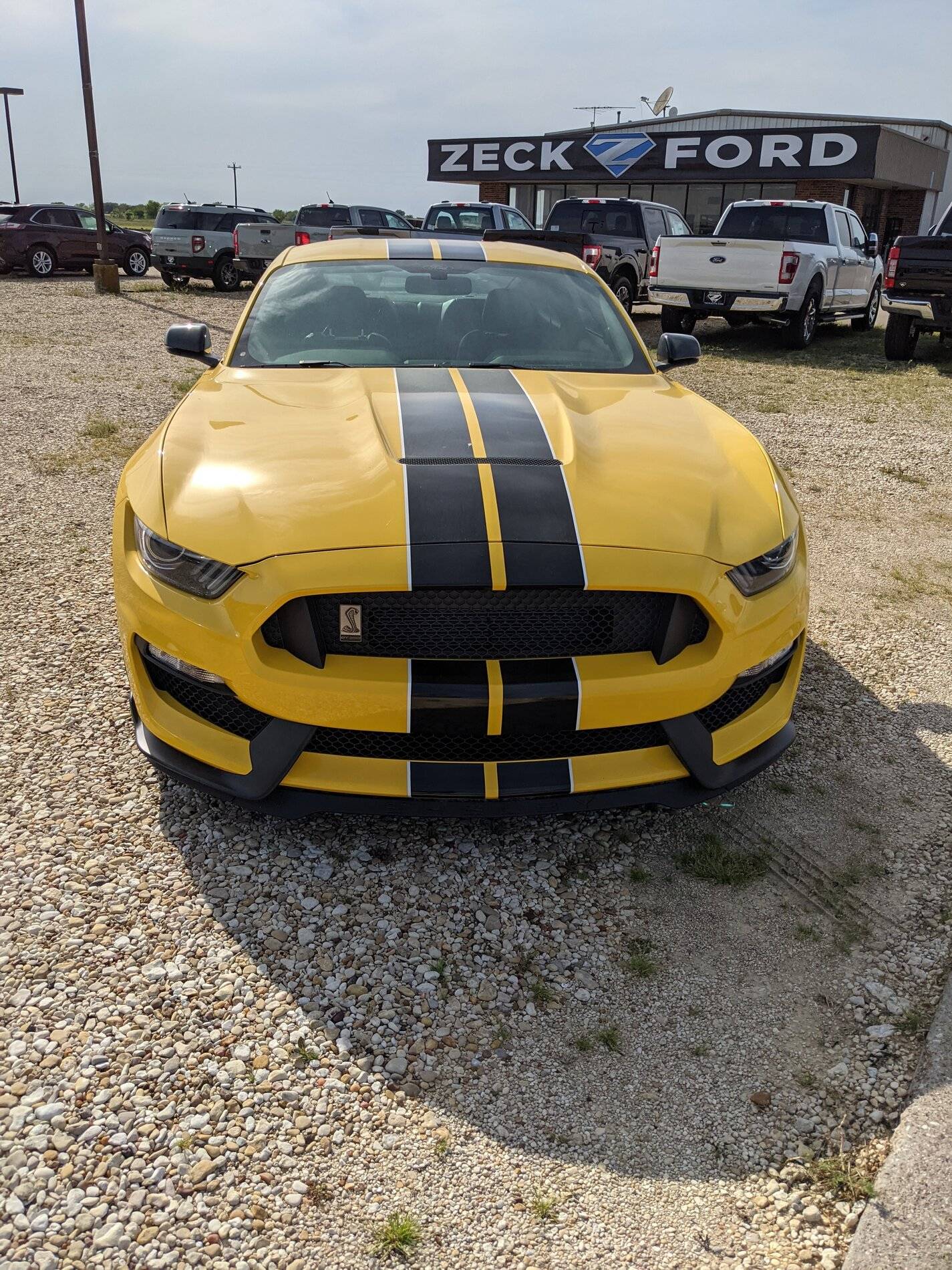 PXL_20210426_221317612.jpg