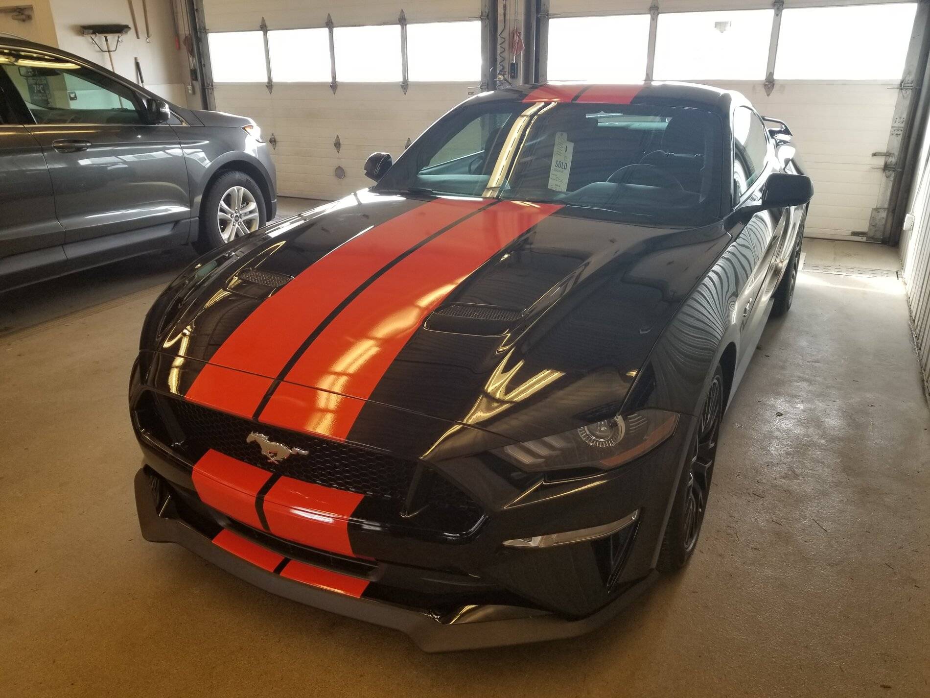 2021GT_Stripes_complete.jpg