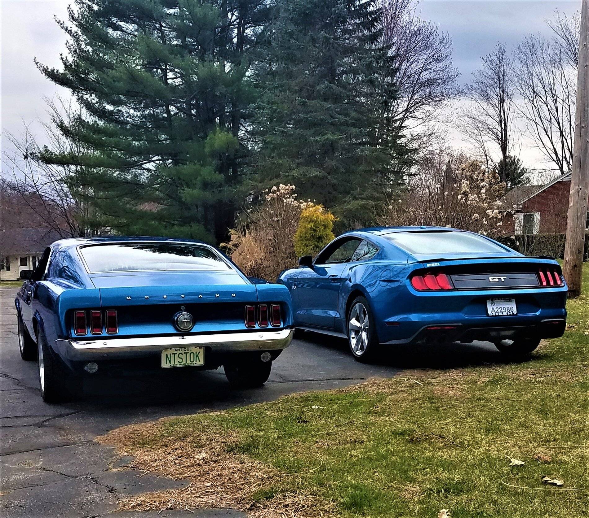 STANG.jpg