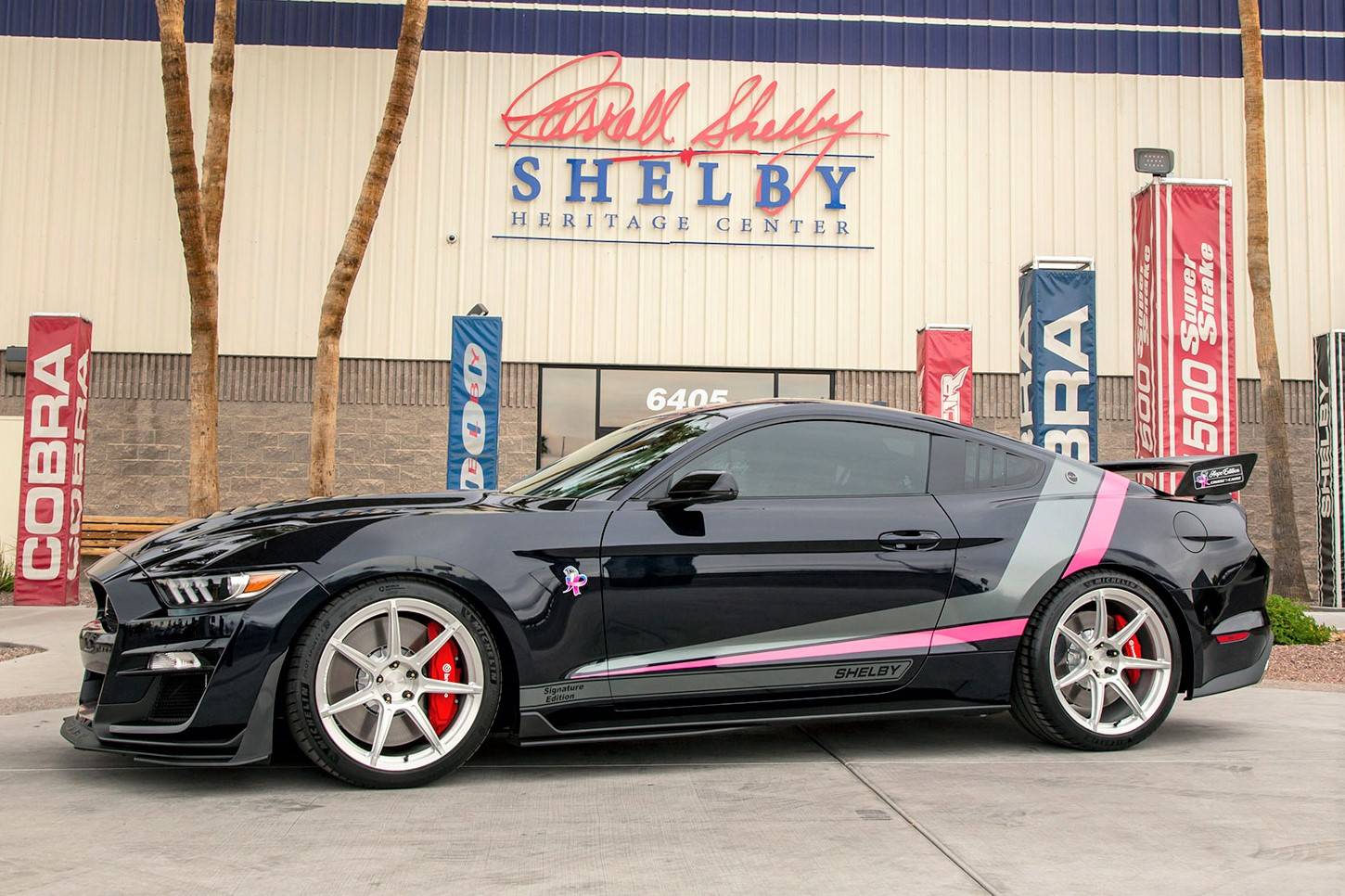Shelby-Hope-Edition.jpg