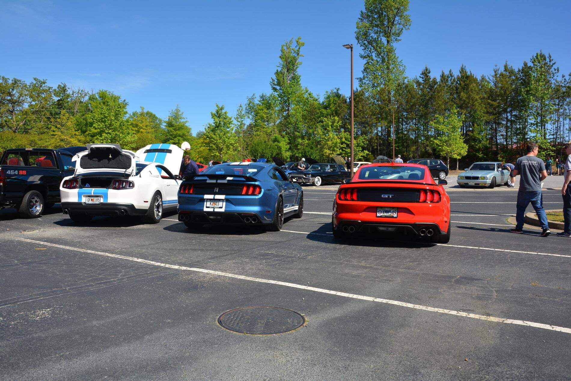 DSC_0232.JPG