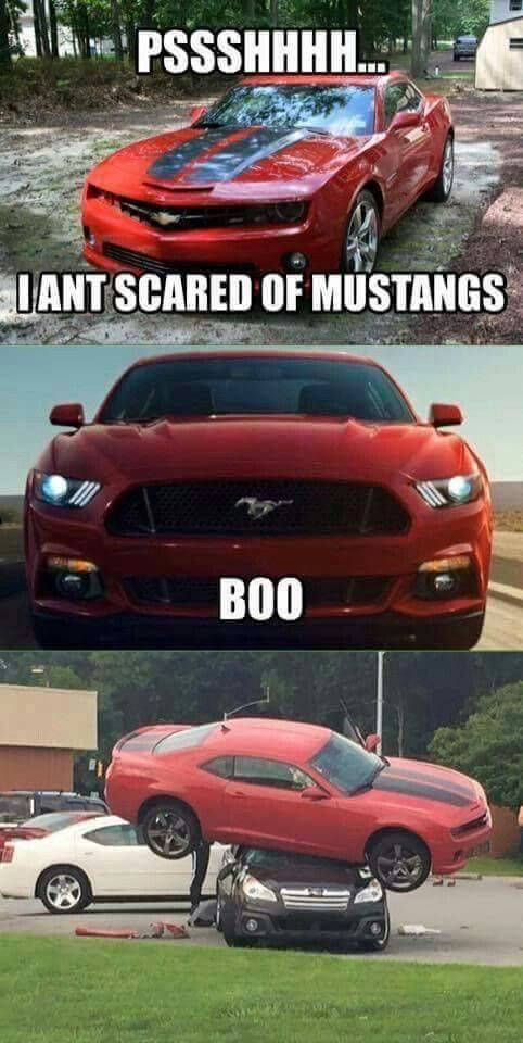 1620850956640.jpeg