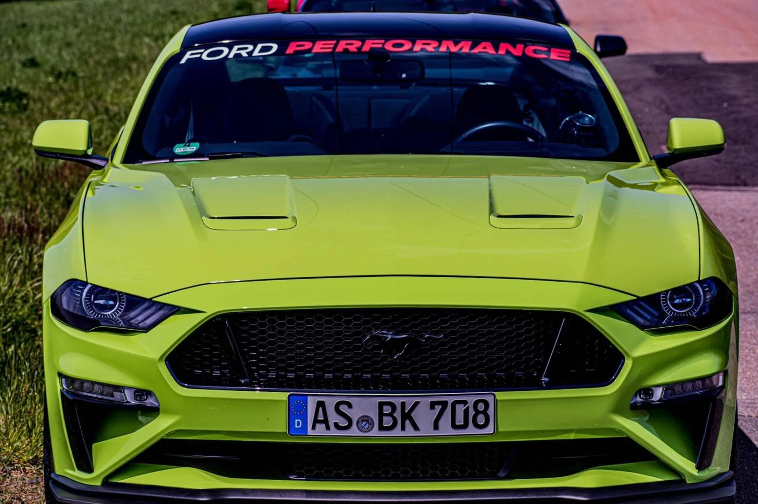 Mustang Straightened.webp