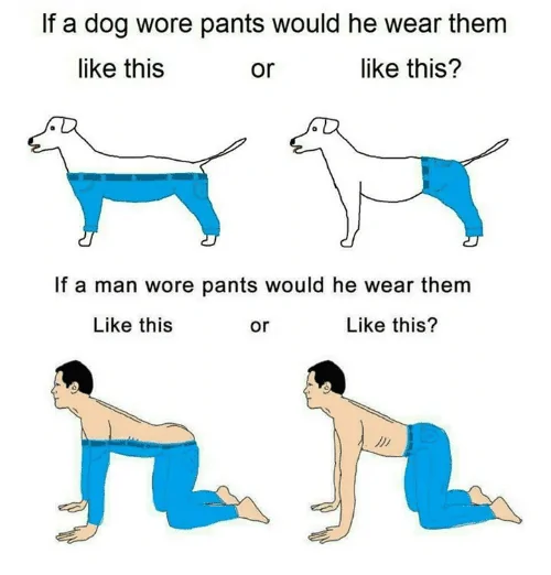 if-a-dog-wore-pants-would-he-wear-them-like-1731263.png