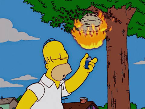 tumblr_dd638801c2d67720c03865e6dfdf32e3_9d004fbc_500.gif