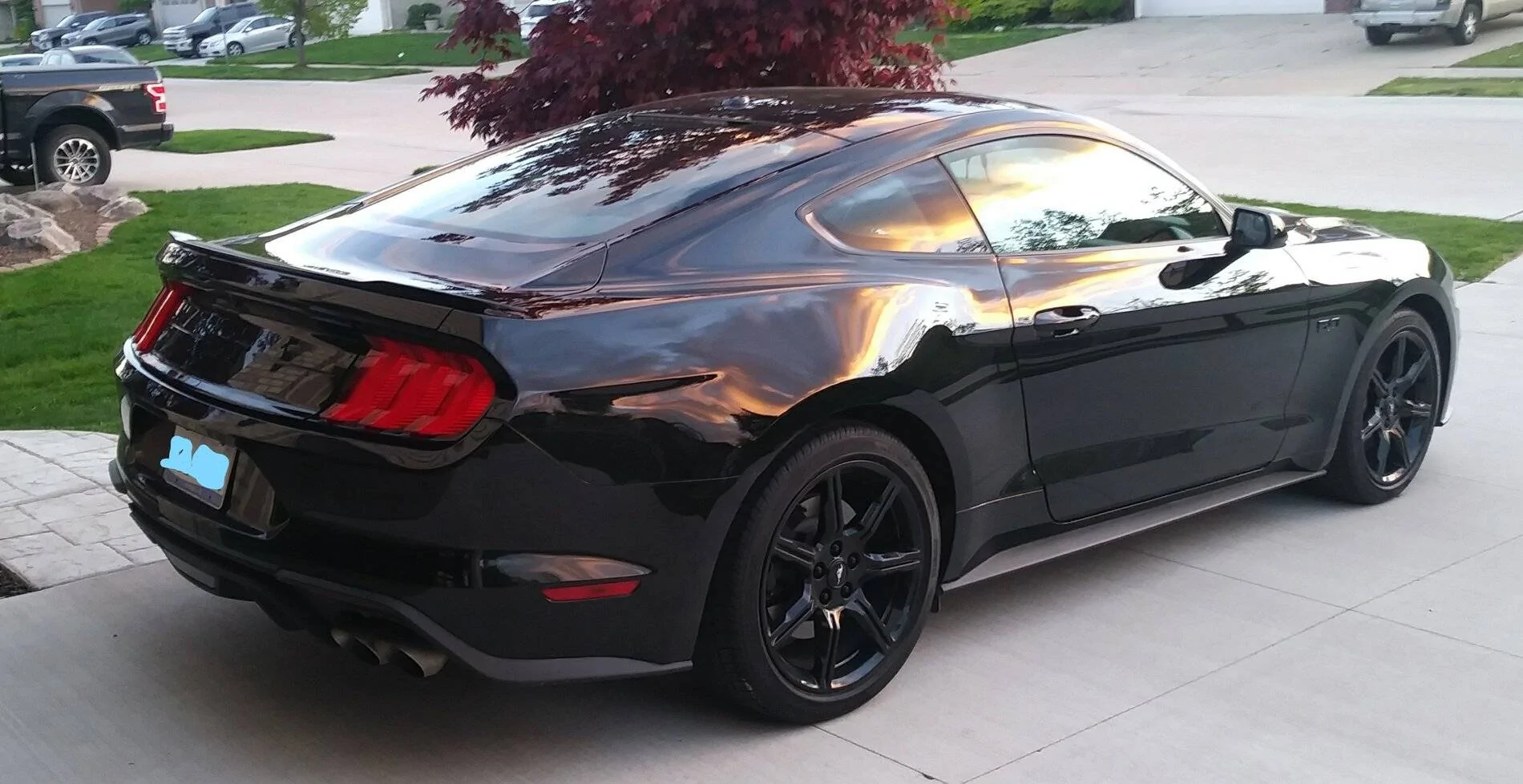 mustang.webp