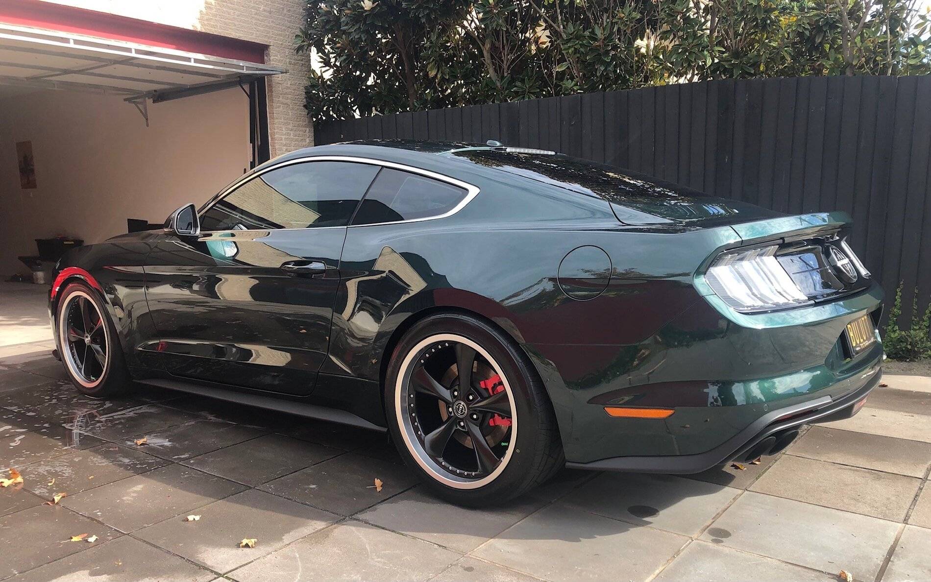 bullit rear.jpg
