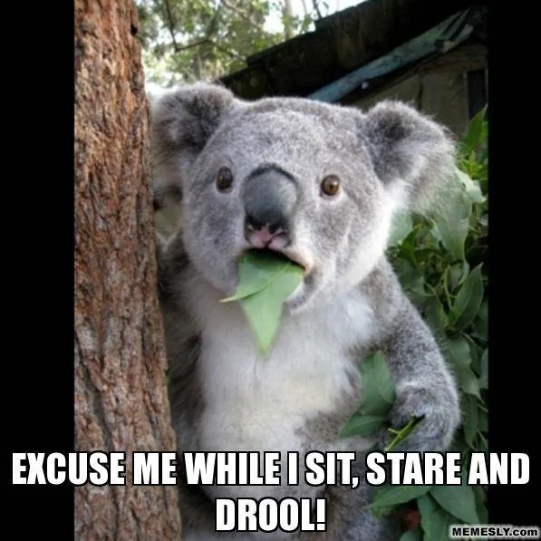 Excuse-me-Drooling-Meme.webp
