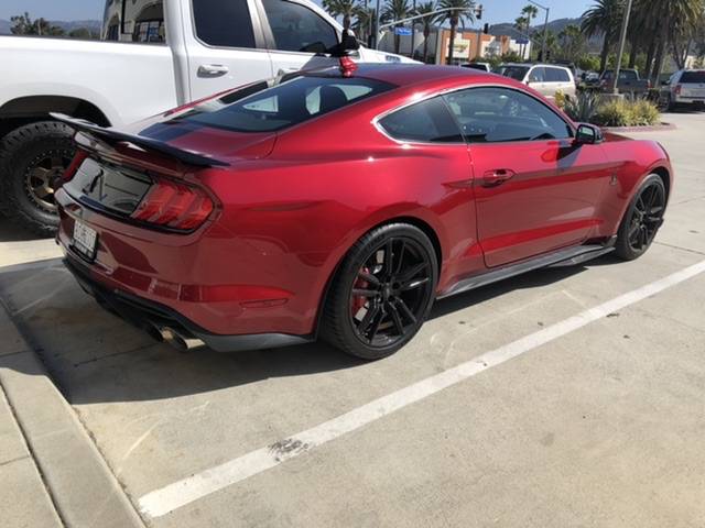 B127202C-1AE7-4F8B-B531-B9E06B56E24B.jpeg