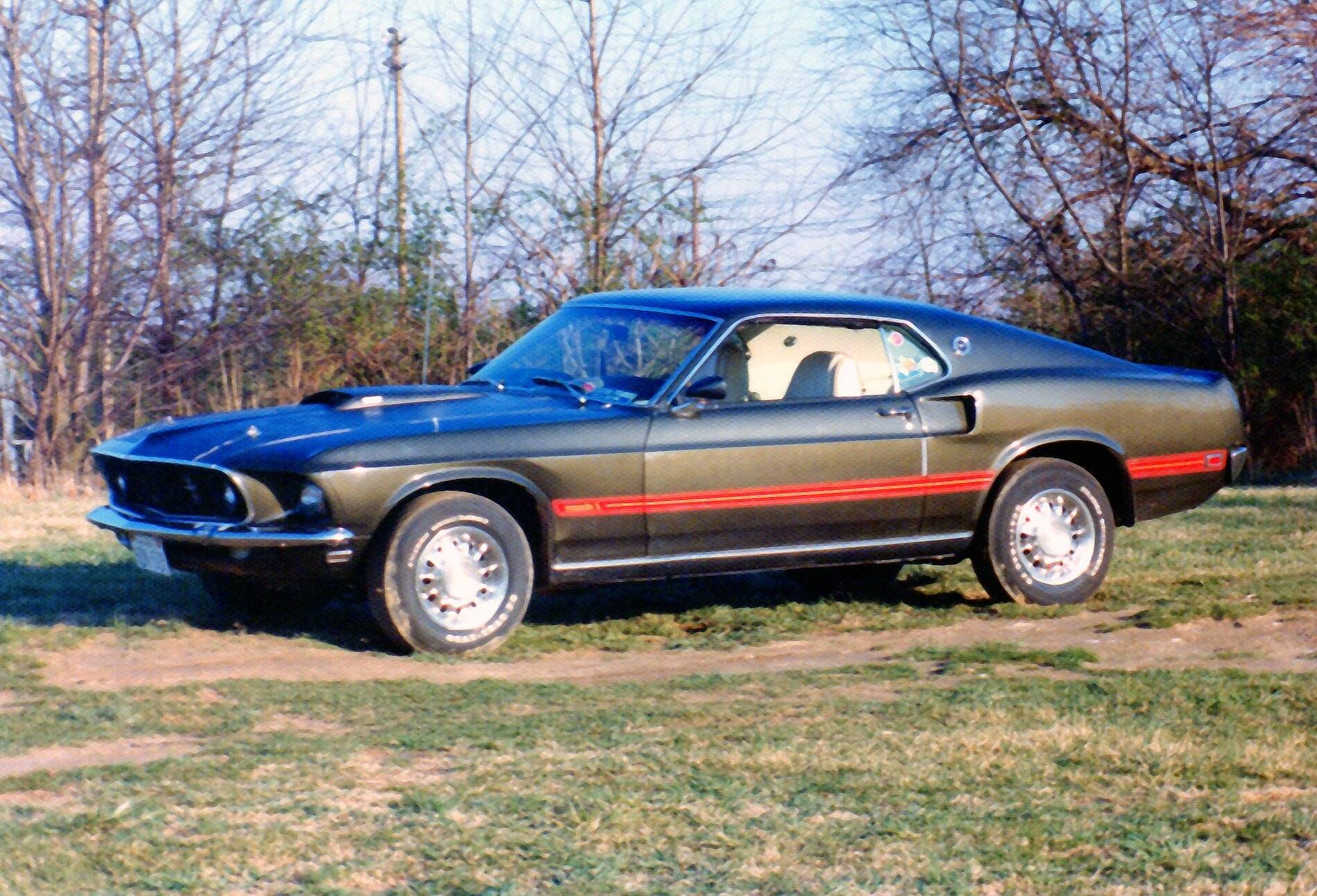 1969 Mustang Mach 1 Black Jade crop-retouch v1.jpg