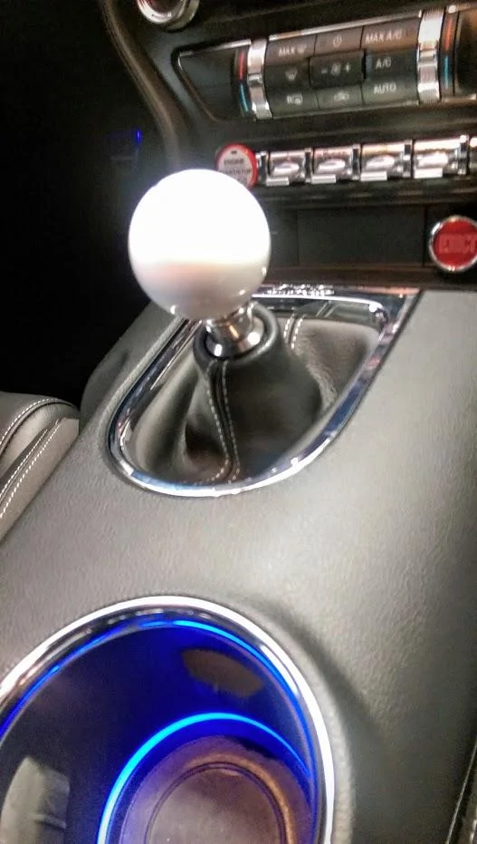 IMAG0947.webp