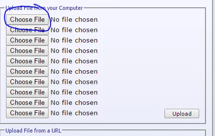 step2.webp