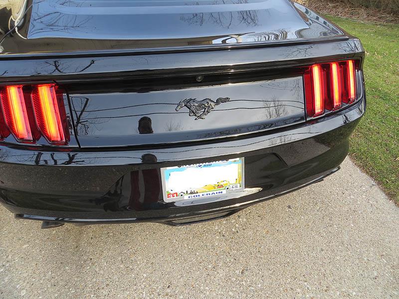 New Emblem - Rear.jpg