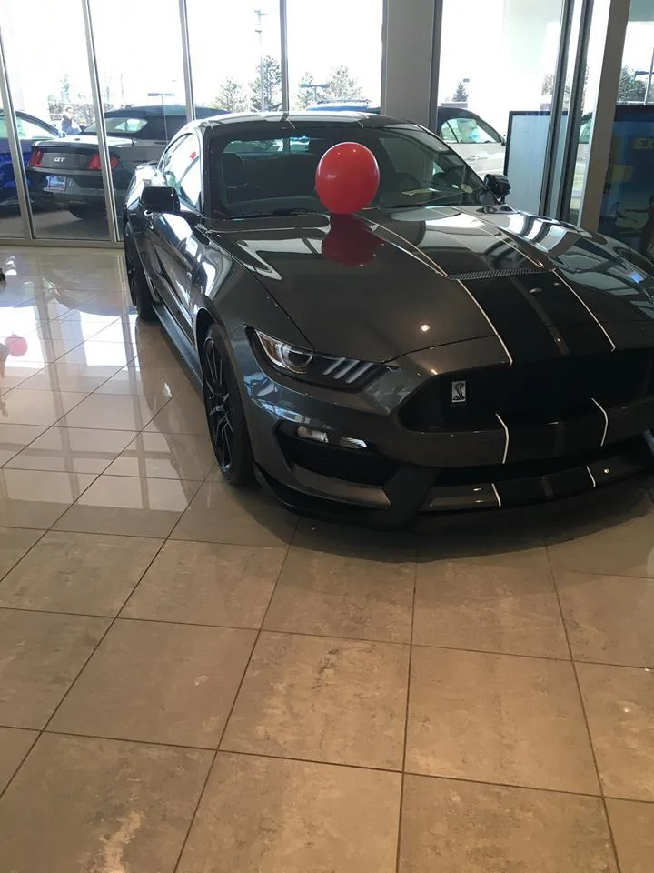 stang.webp