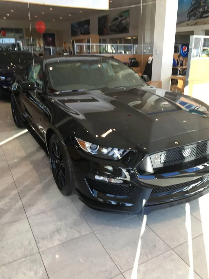 Stang2.webp