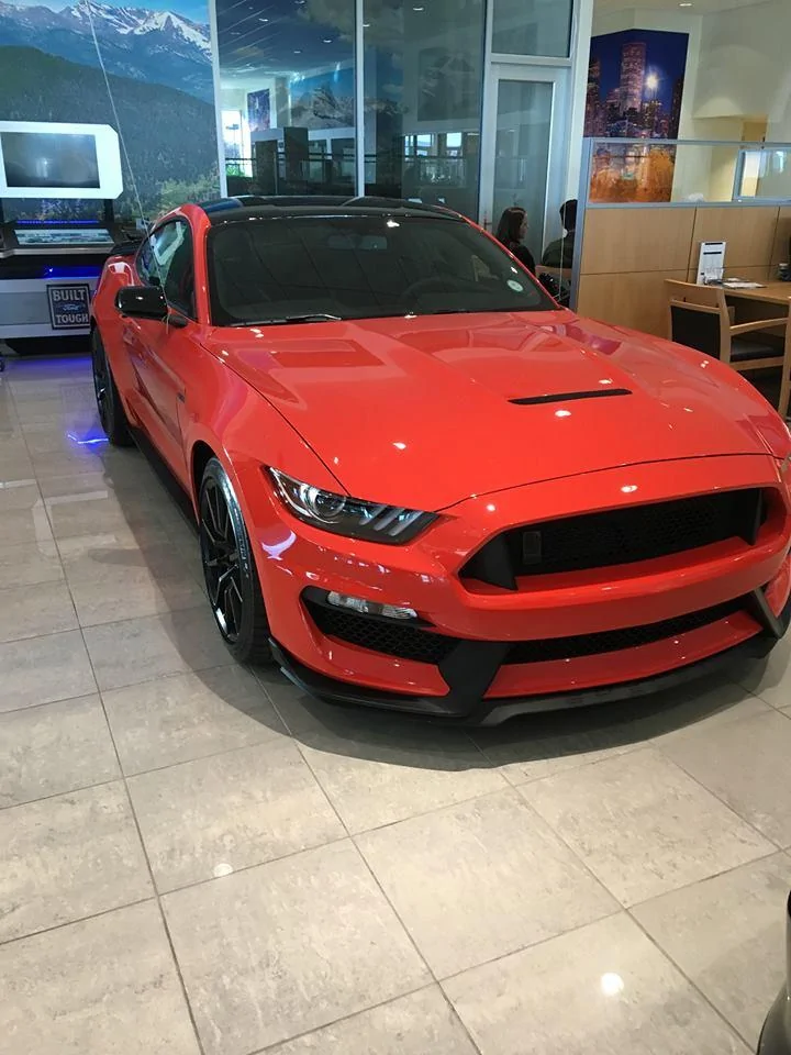 Stang3.webp