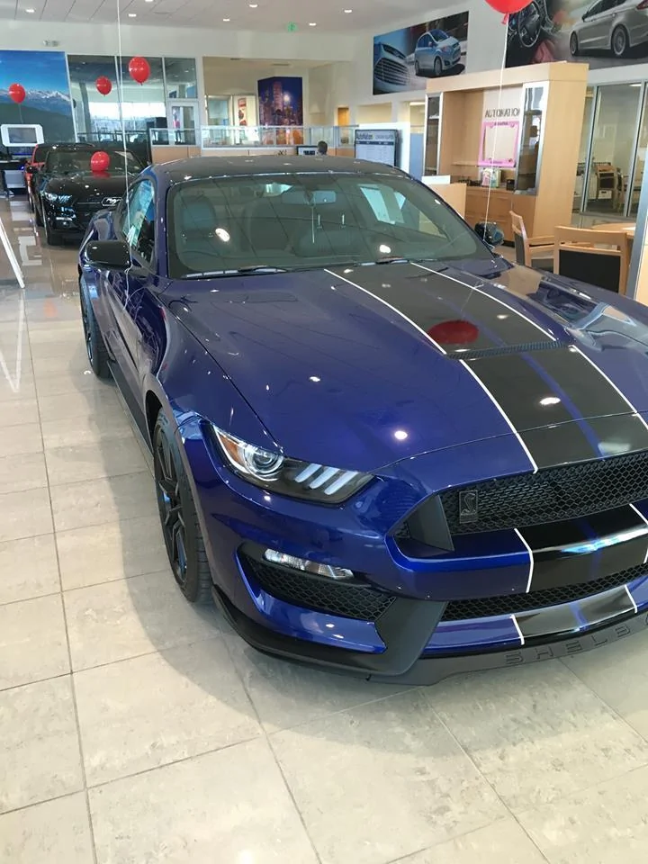 Stang4.webp