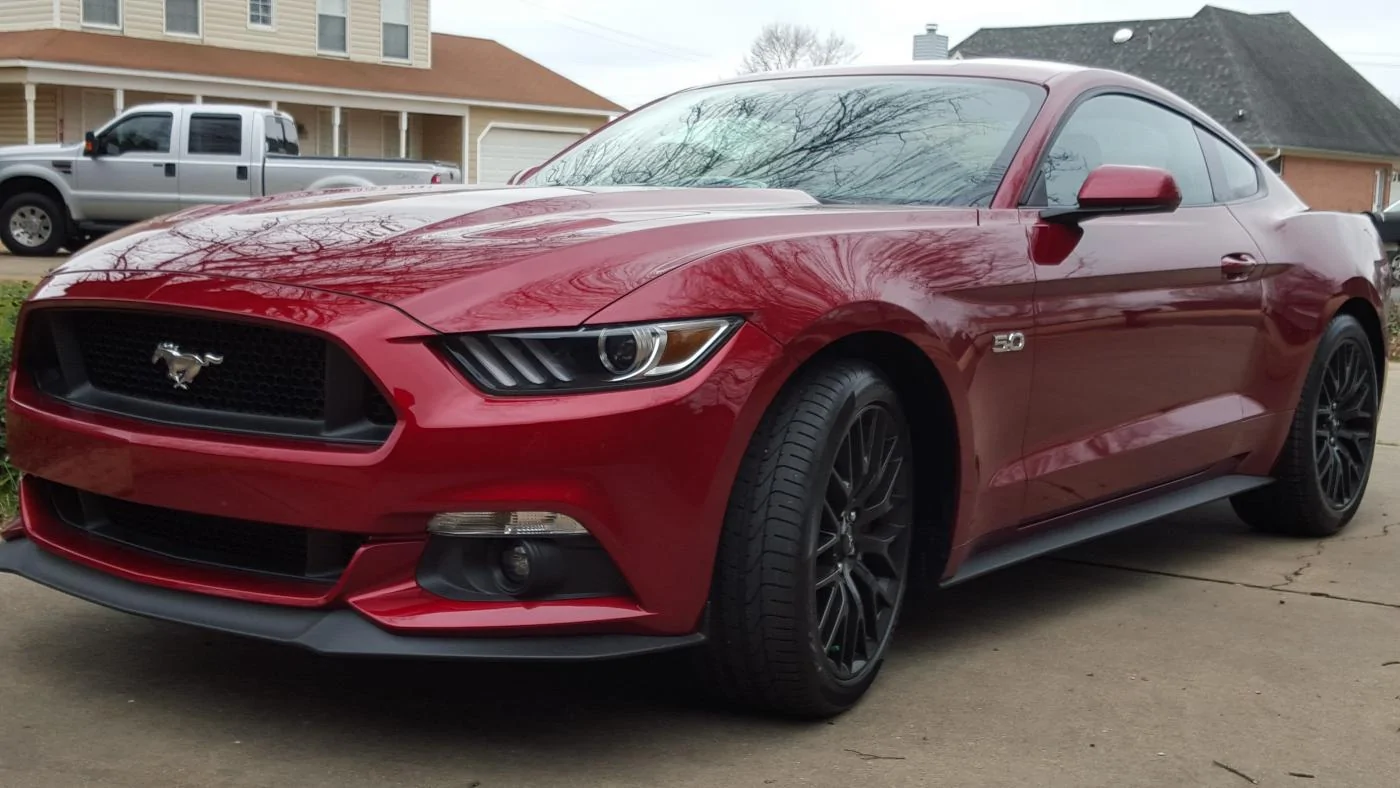 Mustang Resized.webp