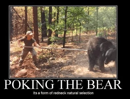 poke da bear.webp