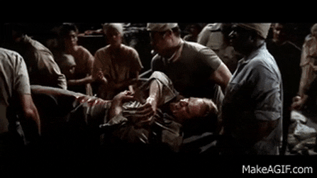 1622043446530.gif