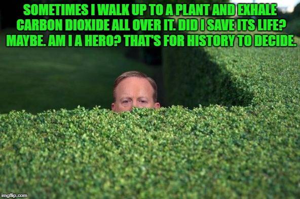 1qnov8.jpg