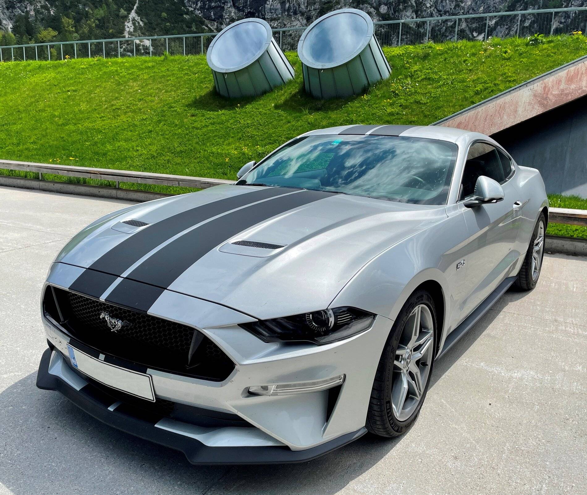 MMustang_1234.jpg