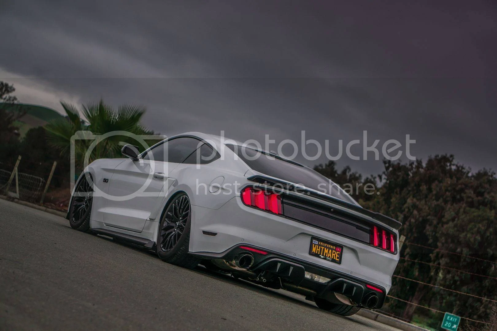 BootyForDays2_1.webp
