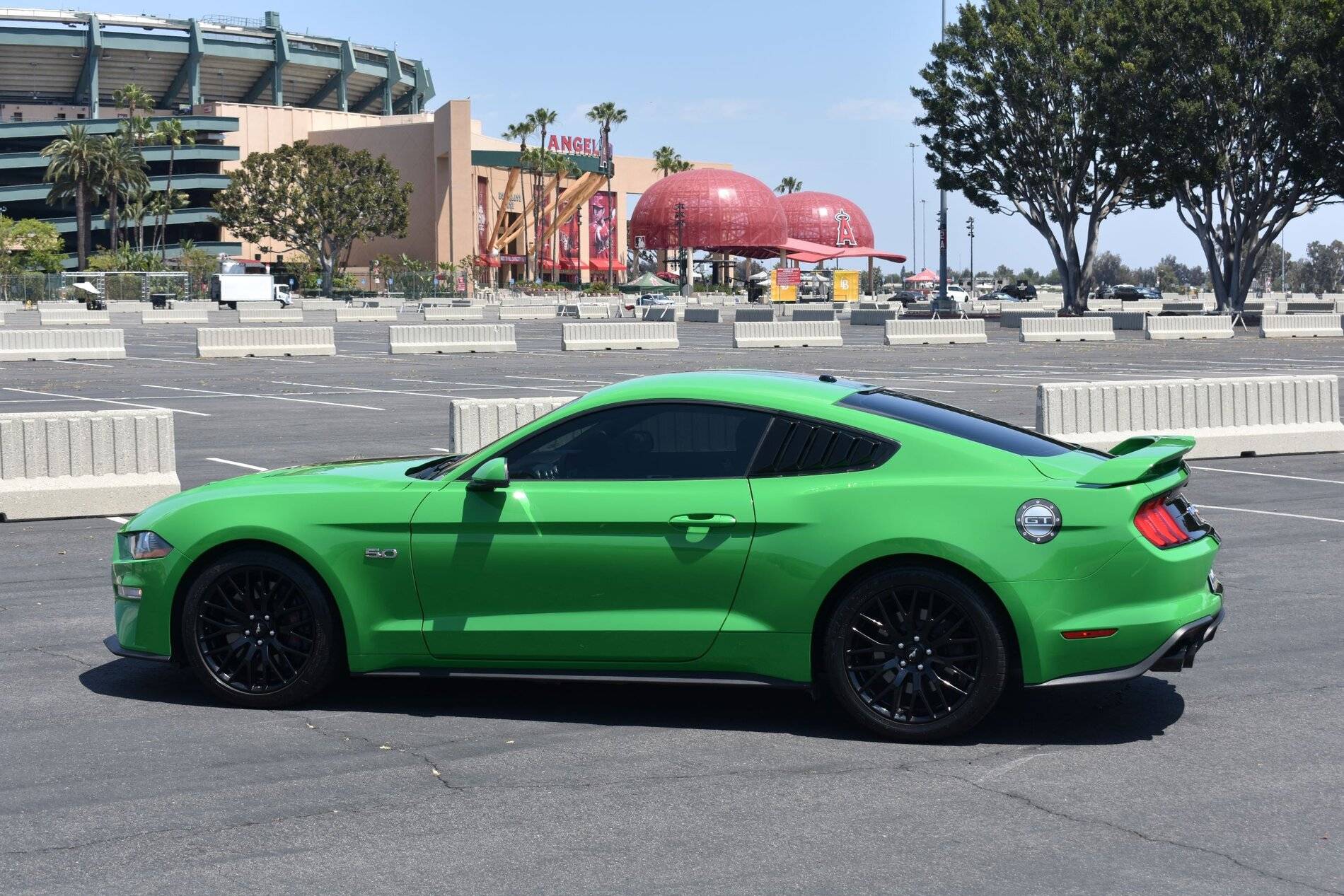DSC_0308 RS.JPG