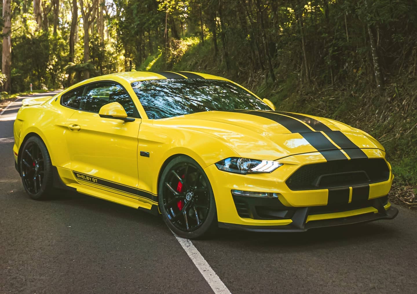 Grabber Yellow Shelby GT 1.jpg