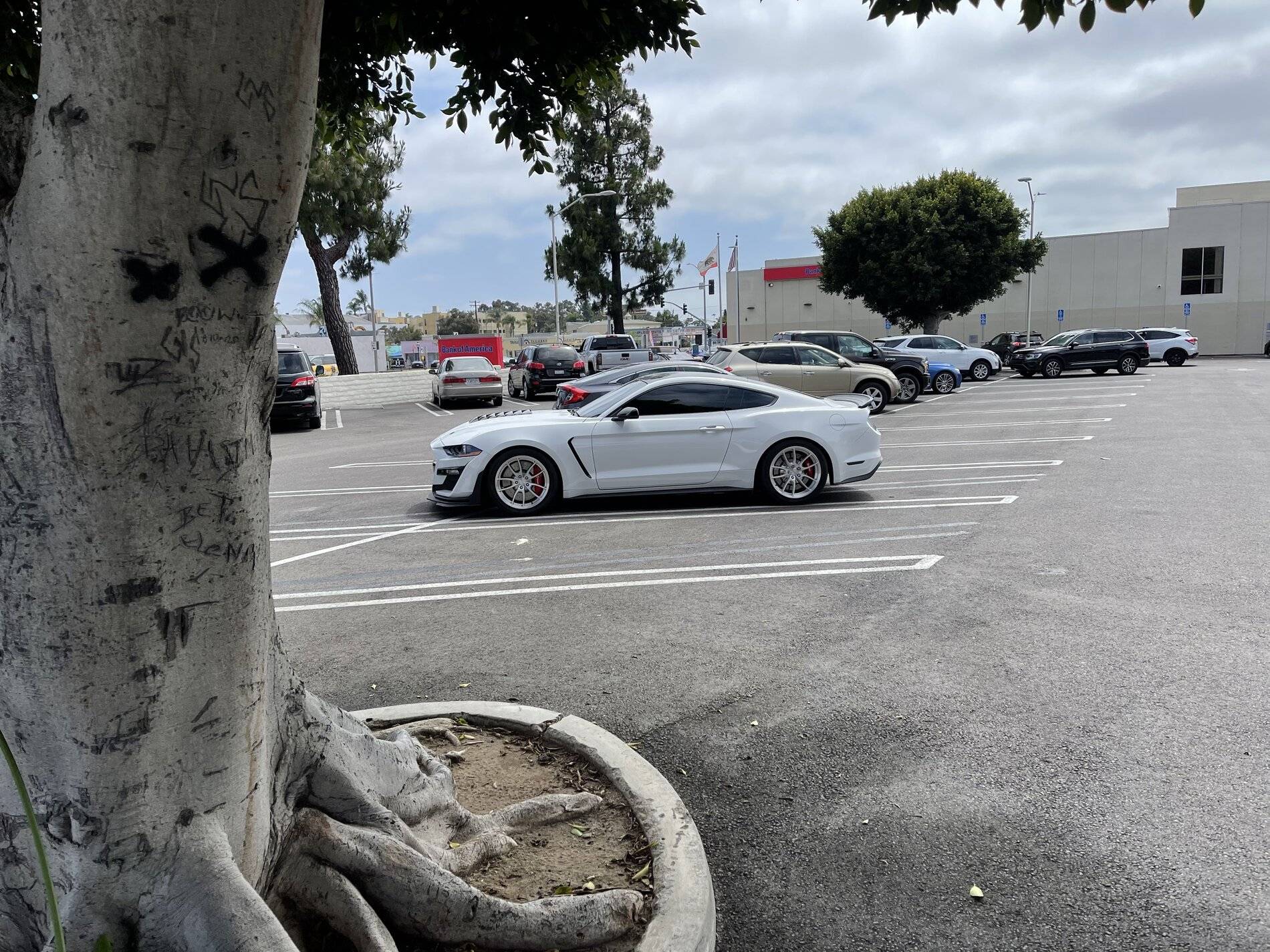 D2793D39-0A77-4455-AF0C-91E36545B6EA.jpeg
