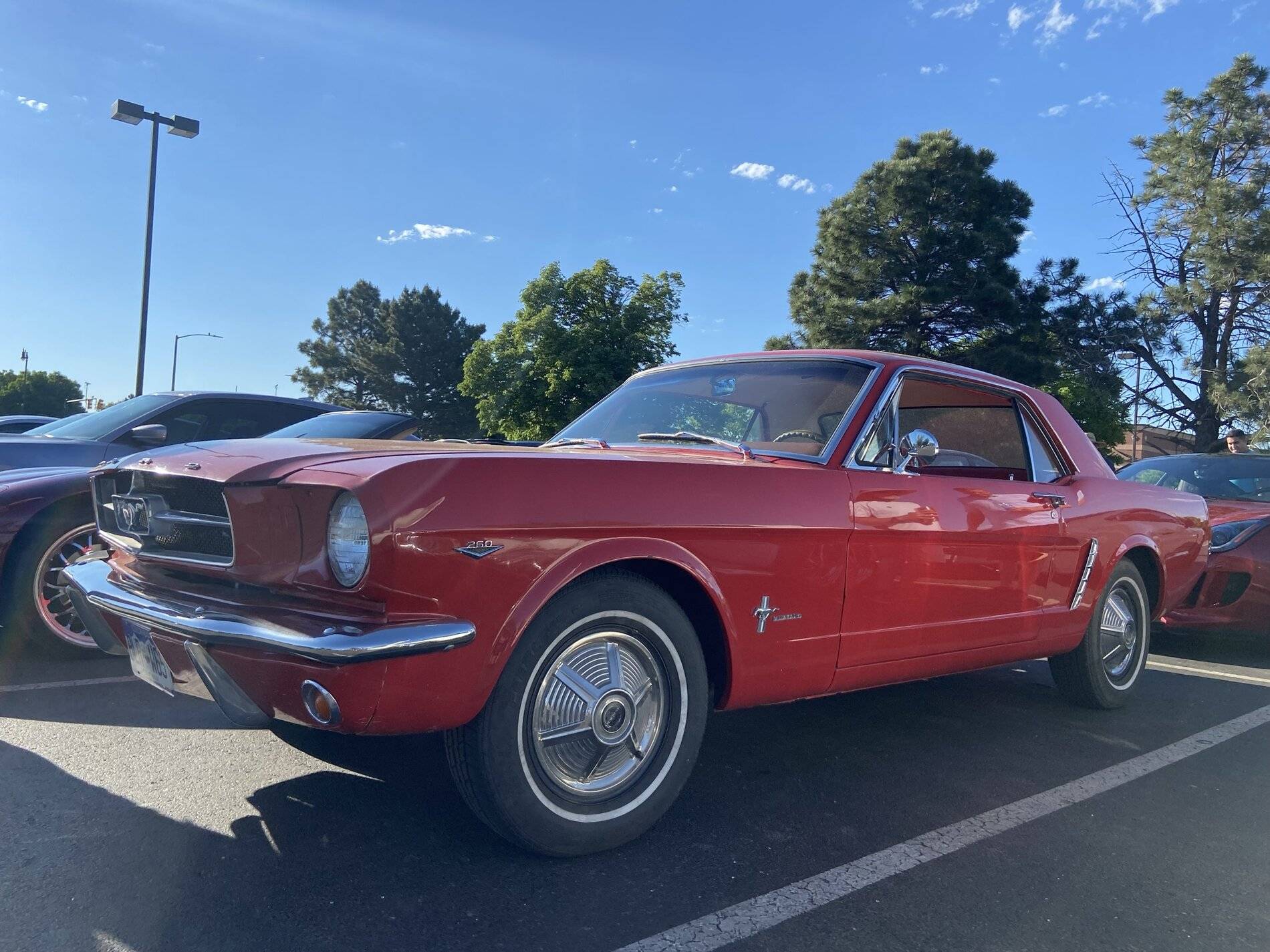 IMG_0619.JPEG