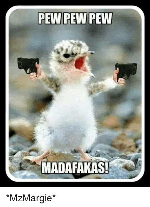 pew-pew-pew-madafakas-mzmargie-7084078.webp