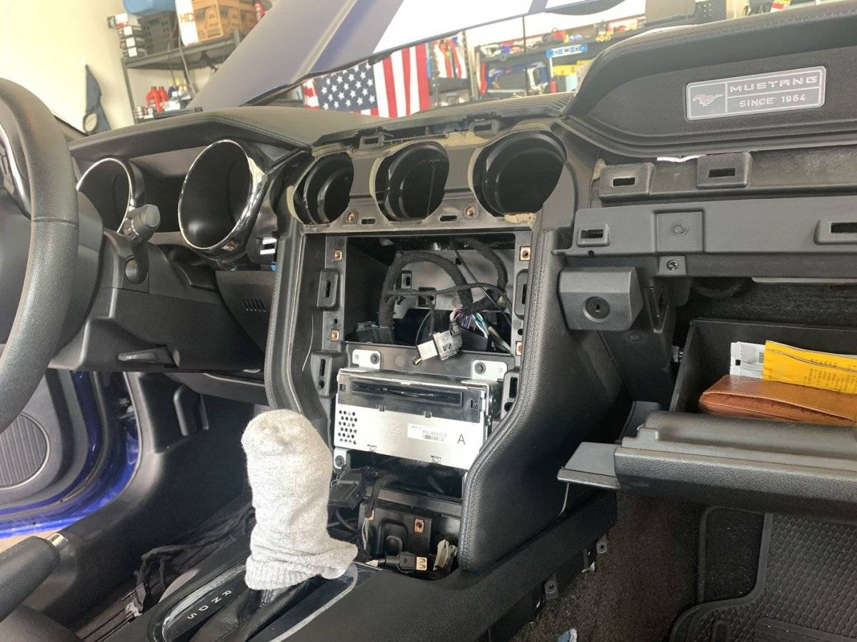 Mustang 3.jpg