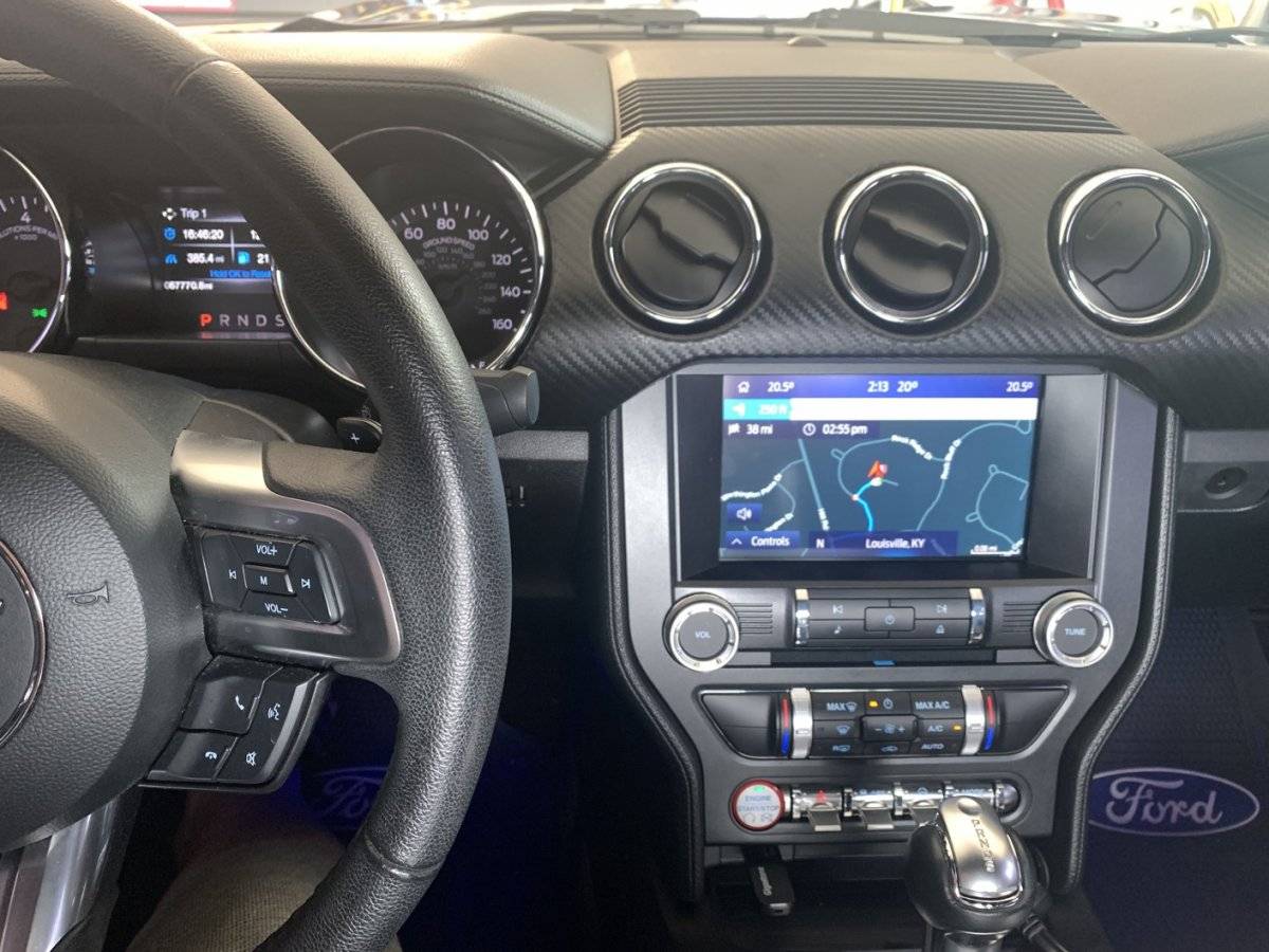 Mustang 4.jpg