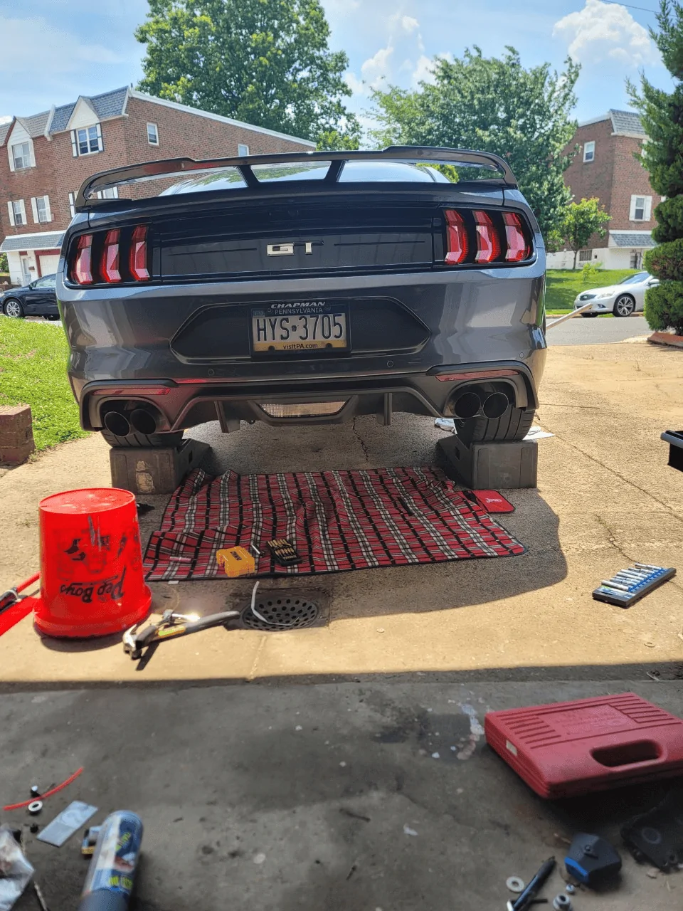 mustang 1.webp