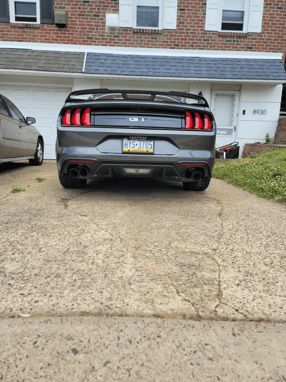 mustang 2.webp